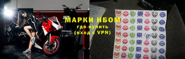 индика Мегион