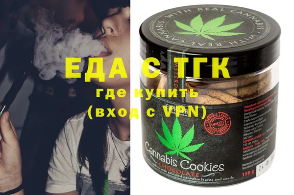 индика Мегион
