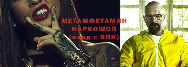индика Мегион