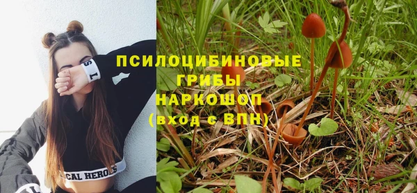 PSILOCYBIN Лихославль