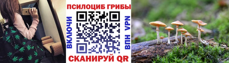 mega   Кубинка  Галлюциногенные грибы прущие грибы 