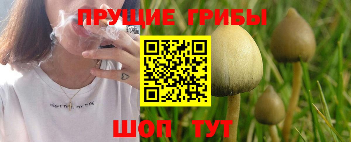 Псилоцибиновые грибы мухоморы  Вход с VPN  Кубинка 