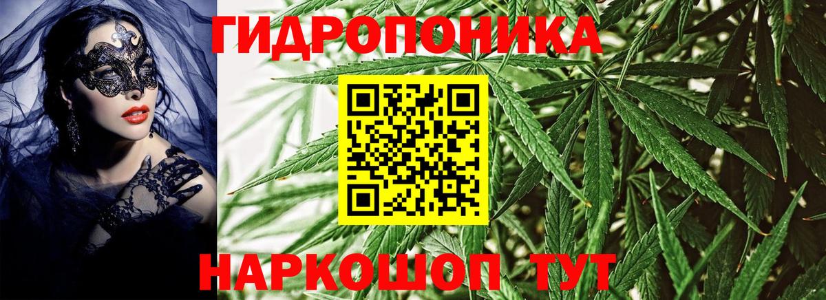 Бошки марихуана OG Kush  МАРИХУАНА Amnesia  Кубинка 